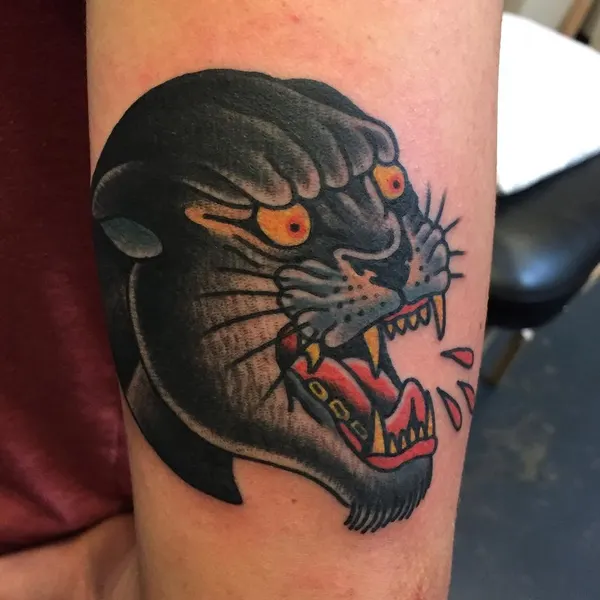 Tiger, Animal, 팬서