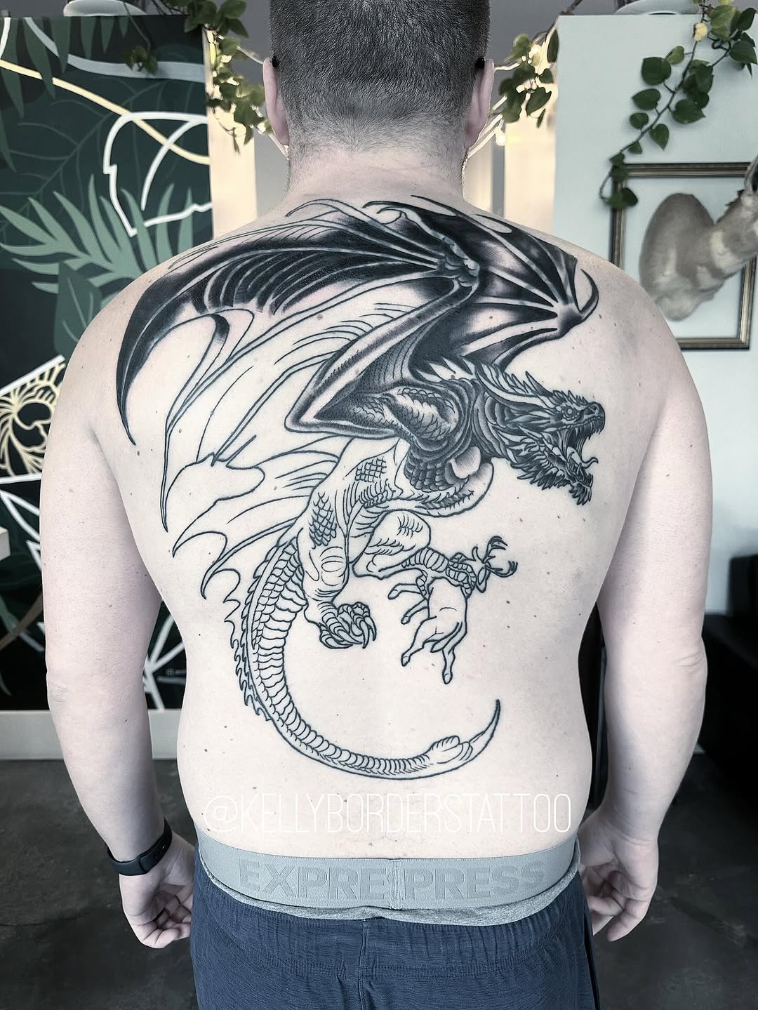 Dragon, 드래곤 라이더