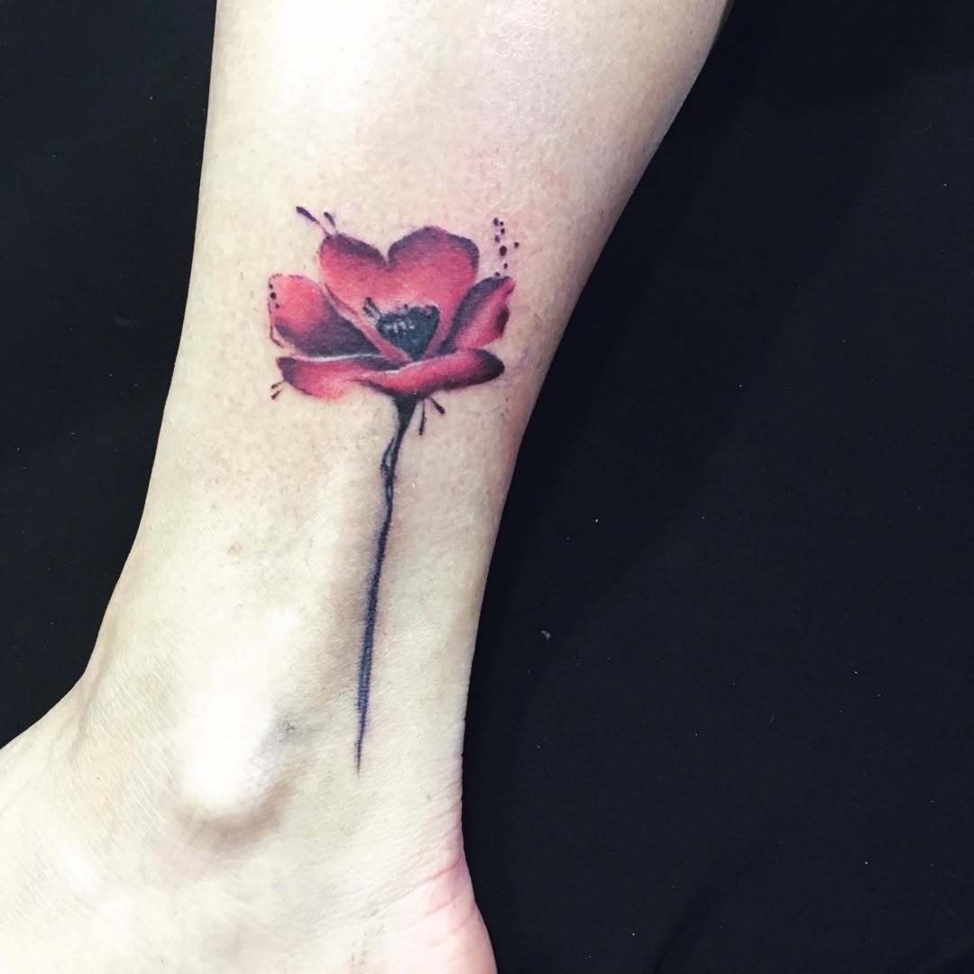 Flower, 튤립, 양귀비, 한국 연꽃