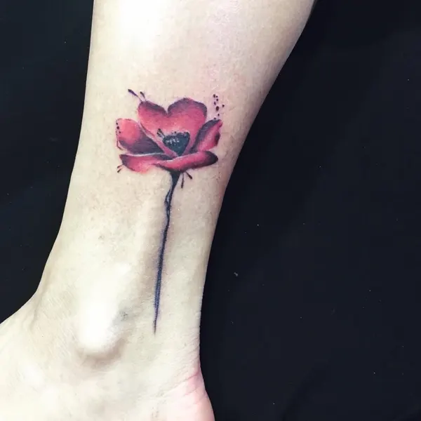 Flower, 튤립, 양귀비, 한국 연꽃