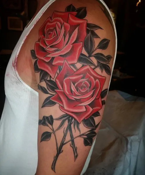Flower, Rose, Nature