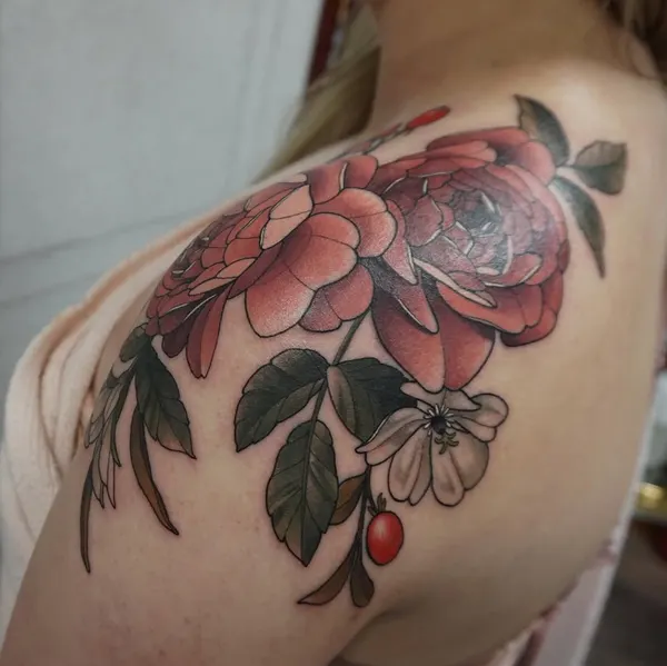 Flower, Rose, Nature