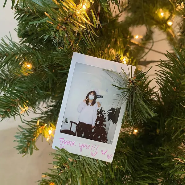 Animal, Nature
