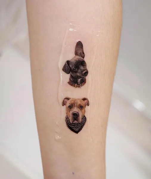 Animal