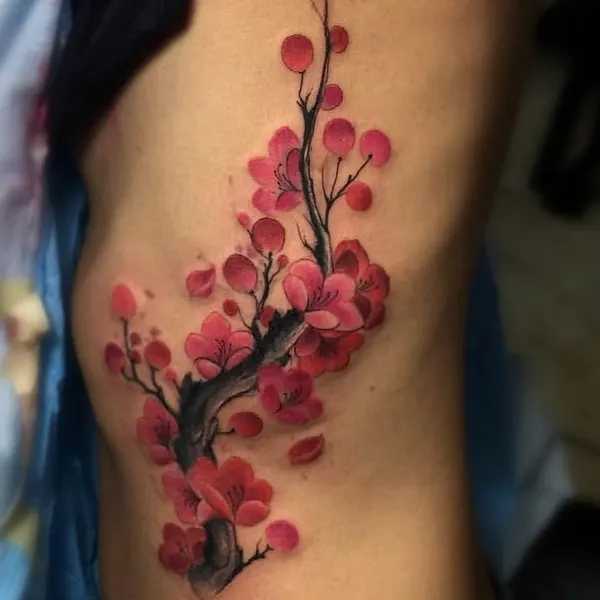 매화, 목련, 벚꽃, Nature, 대나무, 사쿠라, 일본 단풍, 히비스커스