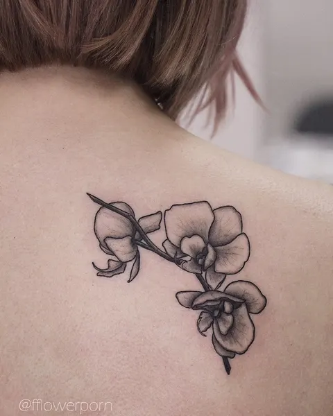 Flower, Nature, Rose