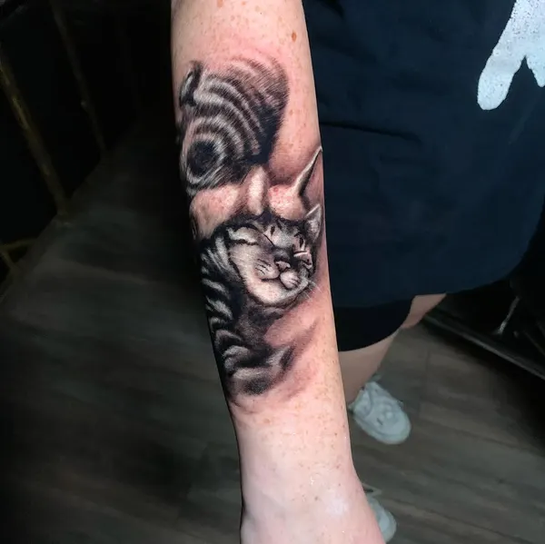 Animal, Tiger