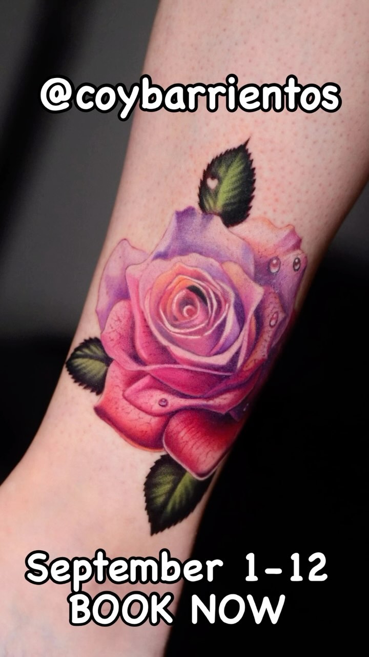 Flower, Rose