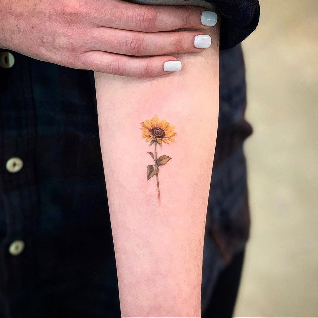 Flower, 해바라기, 민들레, 야생화