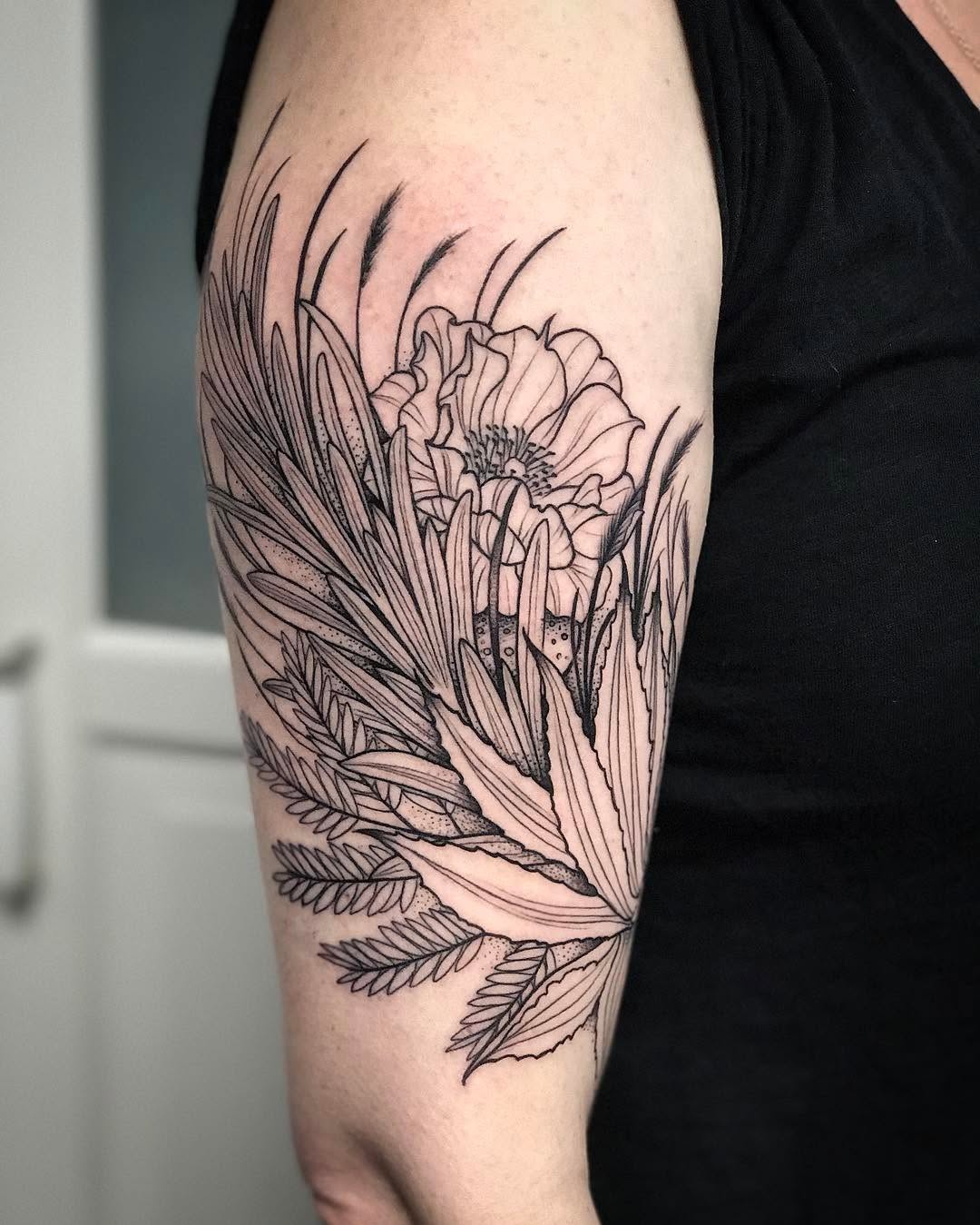 Flower, Rose