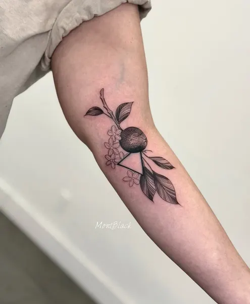 Flower, Rose, 벌, 개미, 무당벌레, 레몬, 올리브 가지