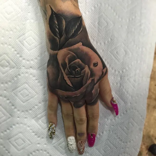 Flower, Rose