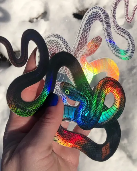 Snake, Dragon