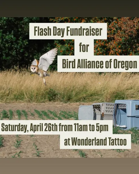 wonderlandpdx
