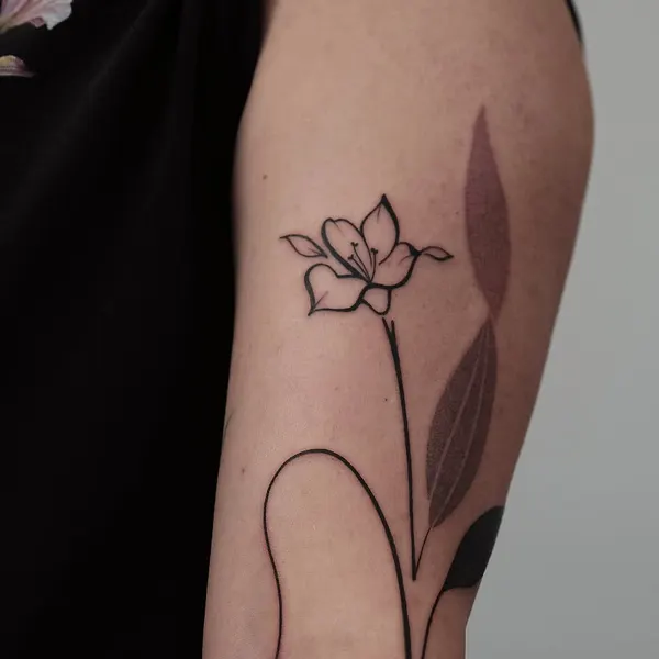 Flower, Rose