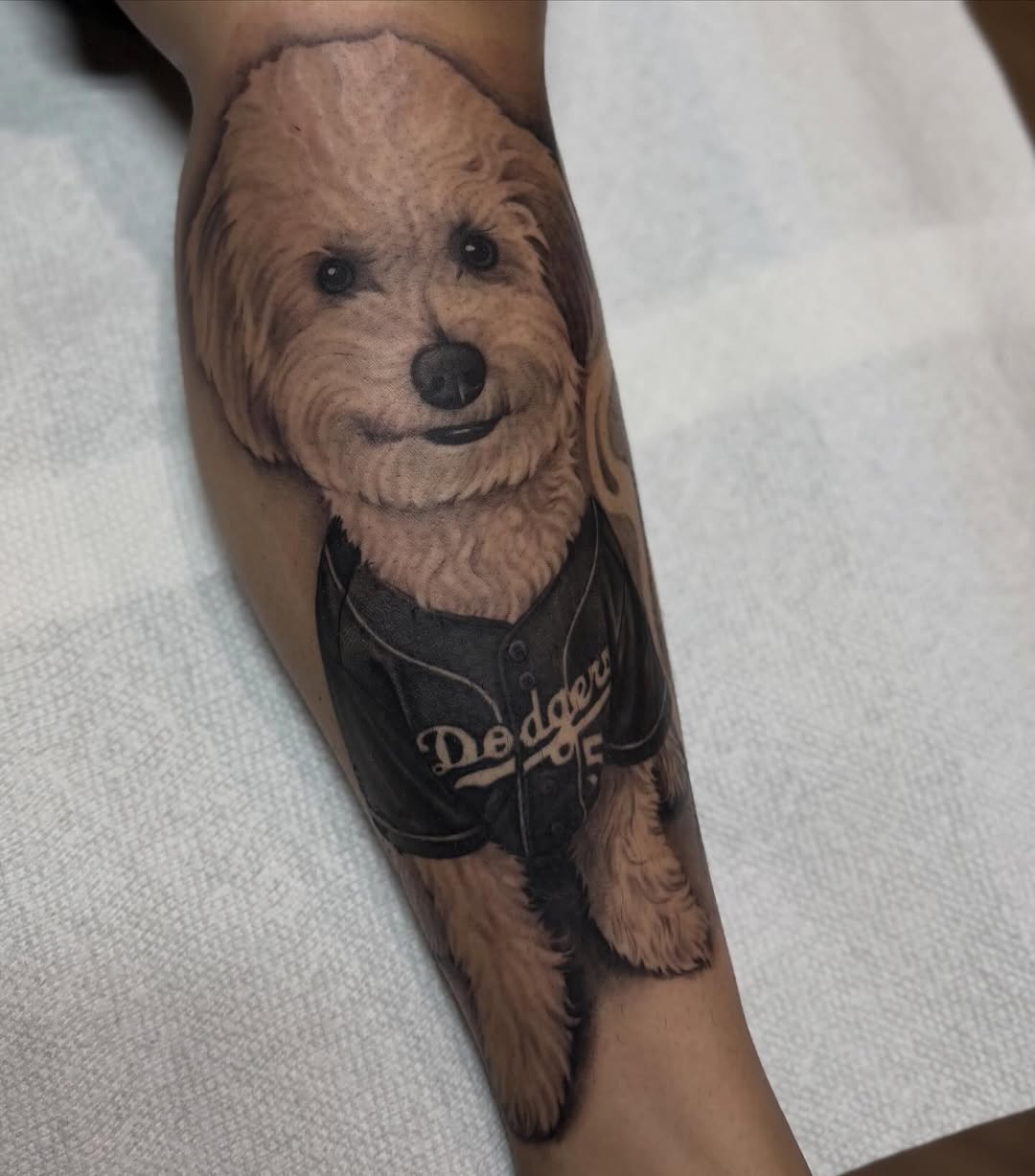 Animal
