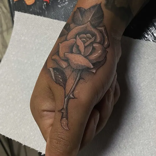 Flower, Rose