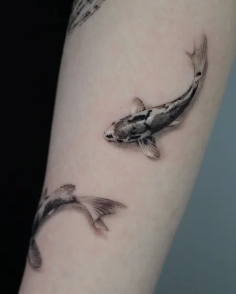 Animal, 잉어