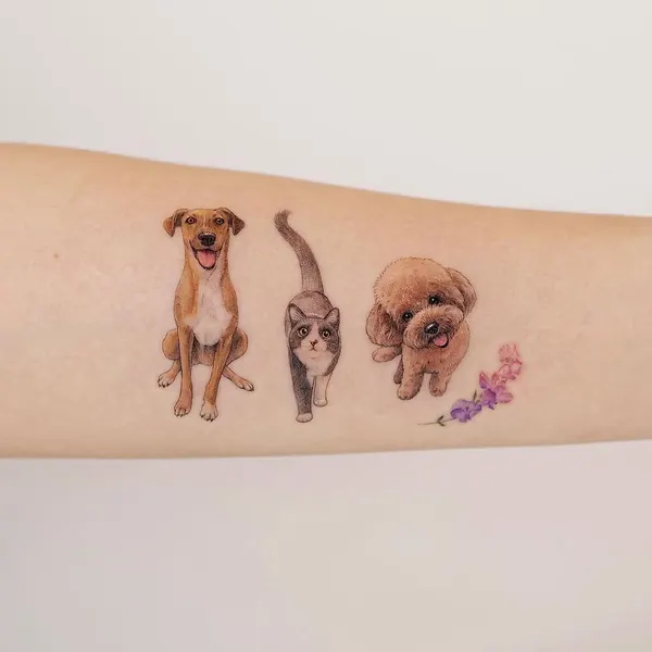 Animal
