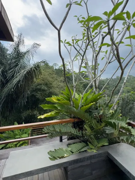 balazsbercsenyi