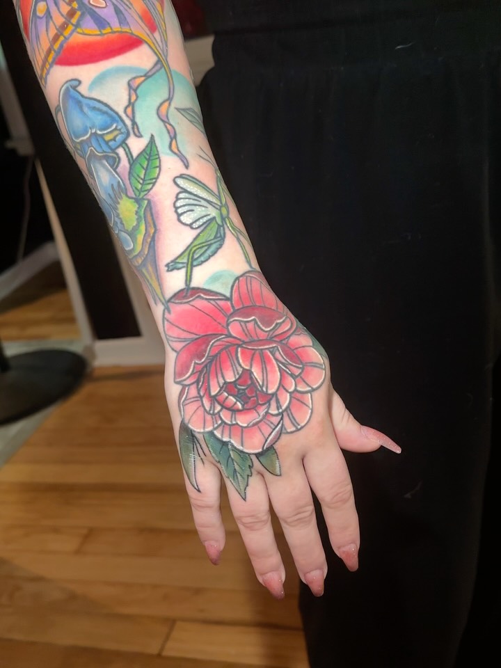 Flower, Rose