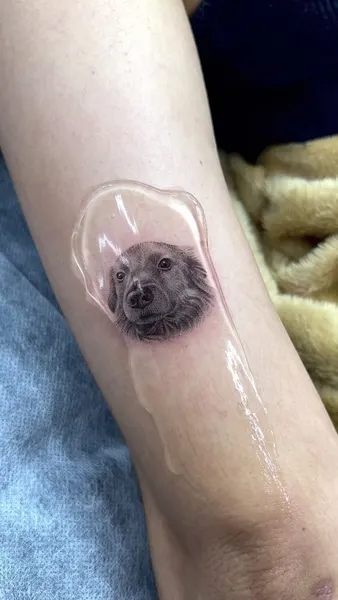 Animal, 고슴도치