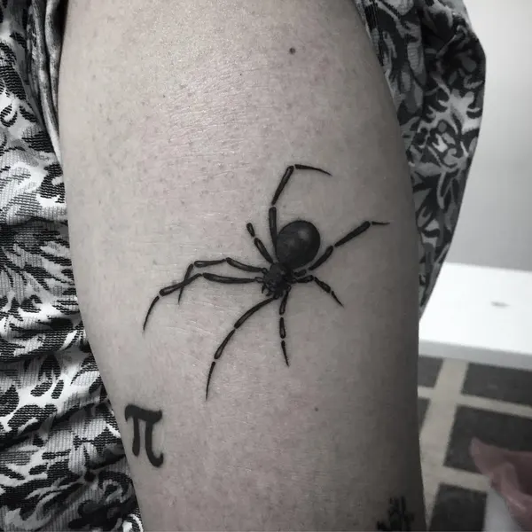 Animal, 거미