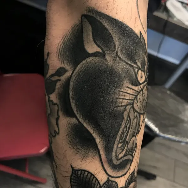 Tiger, Animal