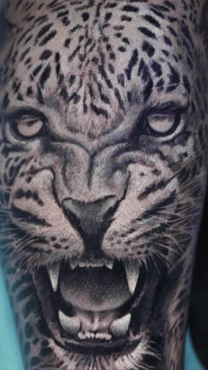Animal