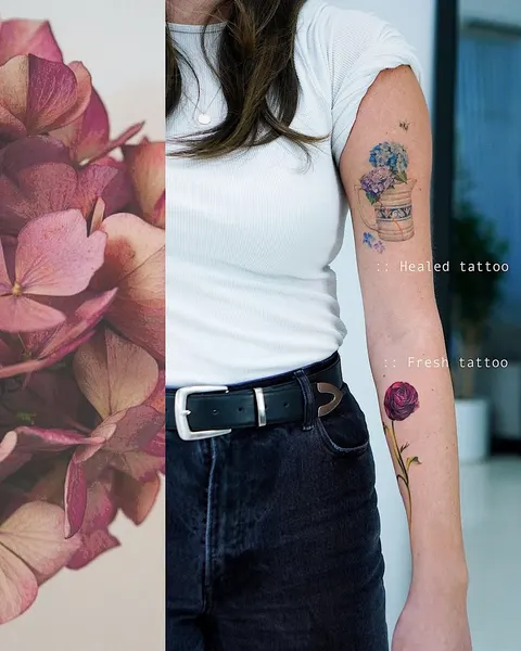 Flower, Rose