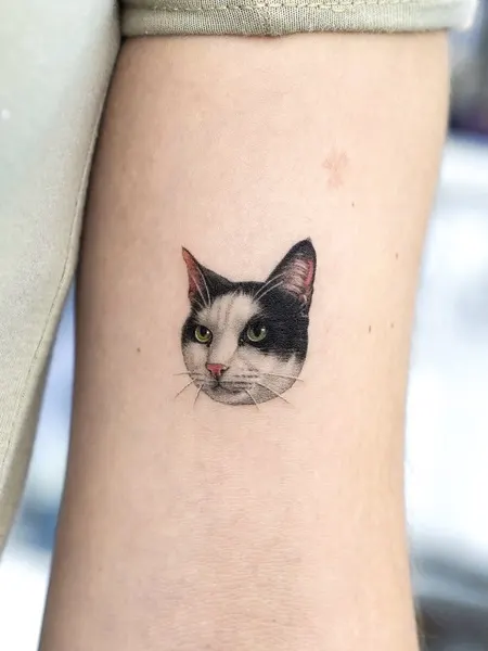 고양이, 함사, 여우 가면