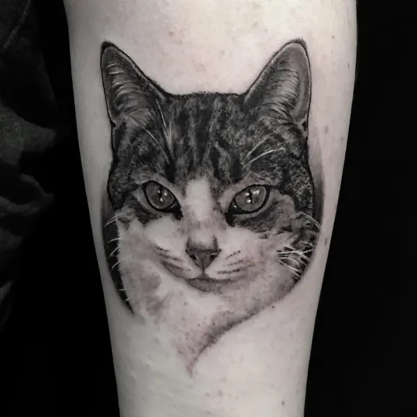 highvoltagetat