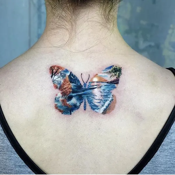 Animal, Nature, 나비