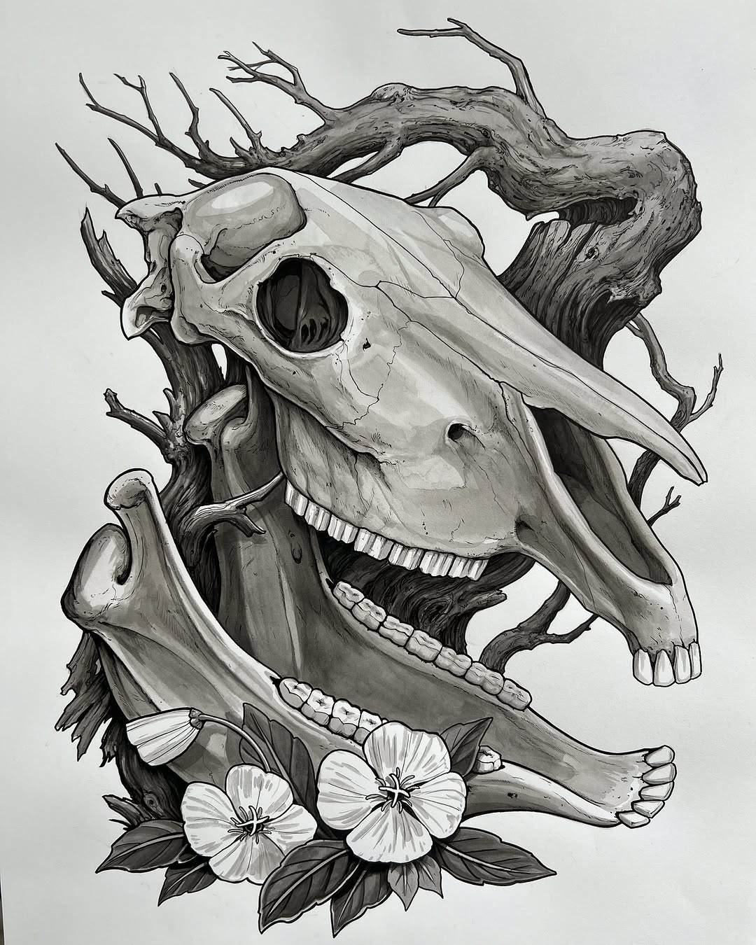 shawn_hebrank