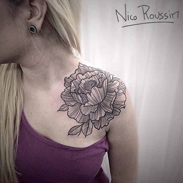 Flower, Rose