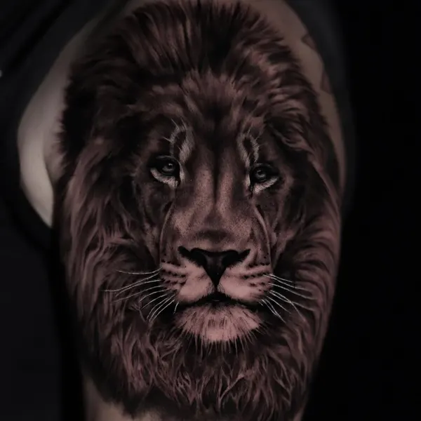 danmcwilliamsart