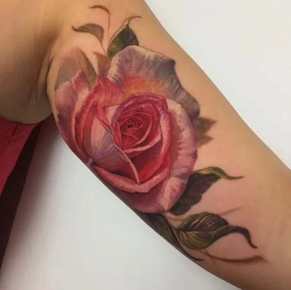 Flower, Rose