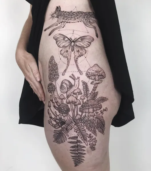 Animal, Nature