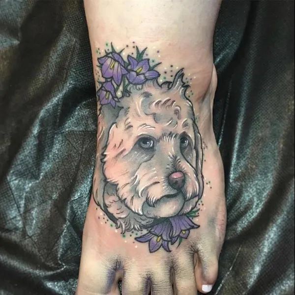 Animal