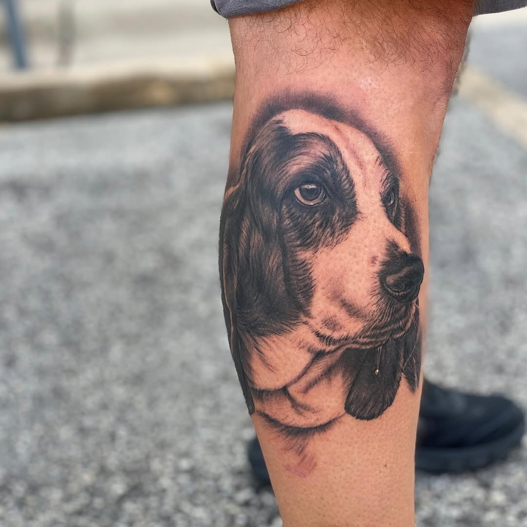 Animal