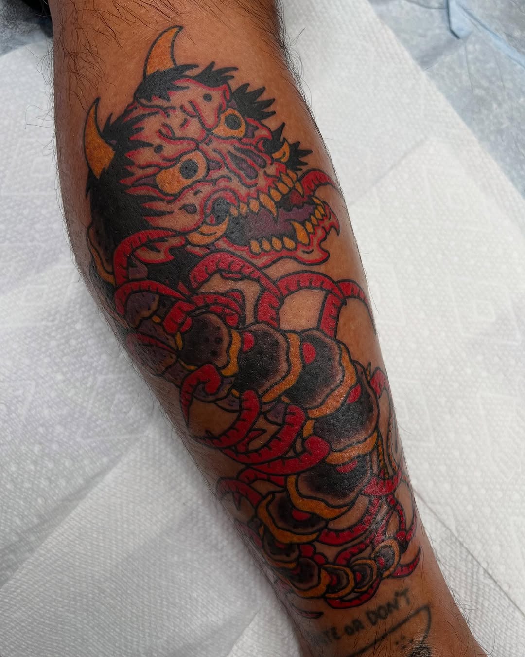 Dragon, 일본 용, 중국 용, 한국 용
