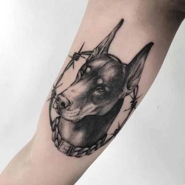 말, 사슴, 염소, 소, 양, 황소, 양자리, 유니콘, Animal, 염소자리