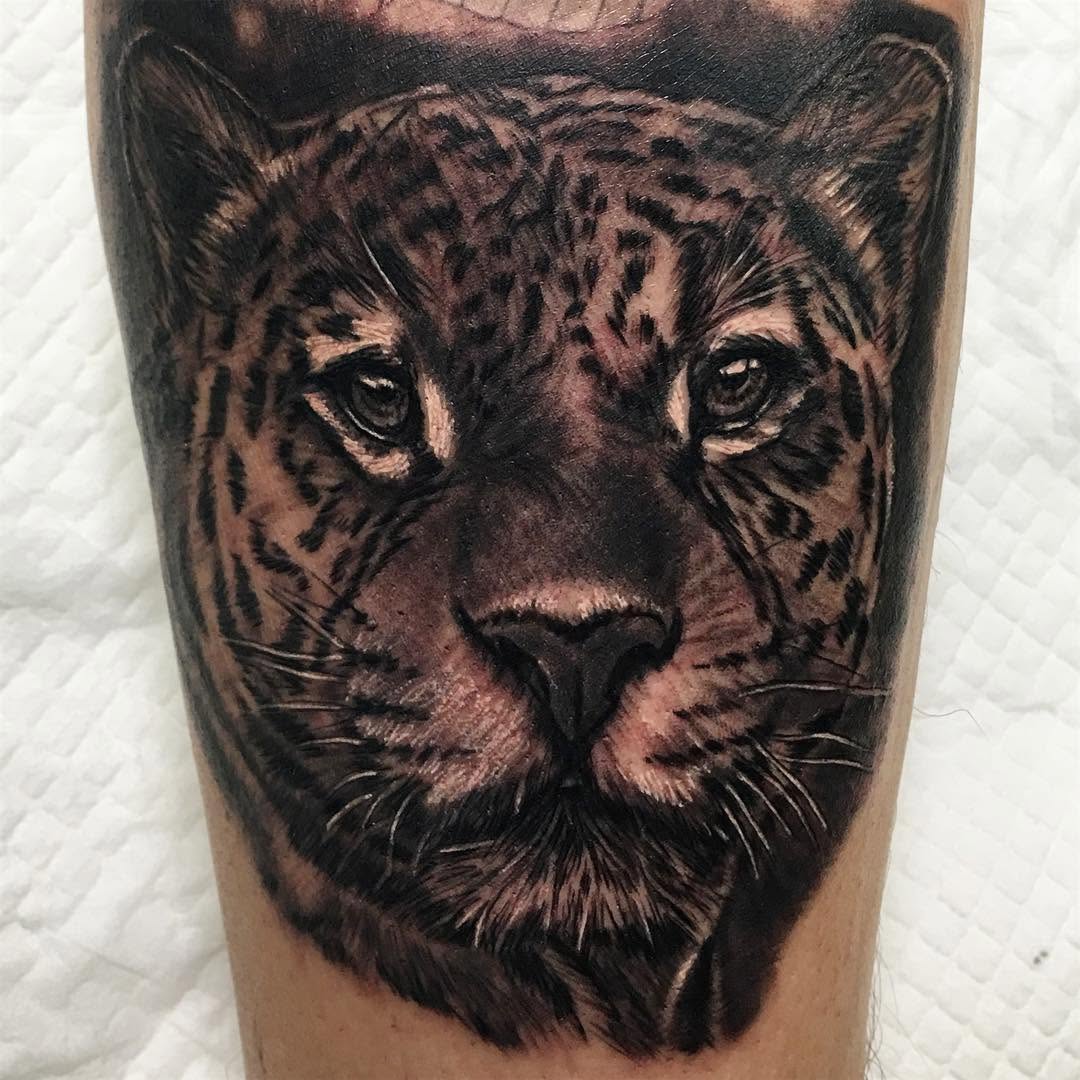 Animal, 팬서, 표범, 재규어, 치타