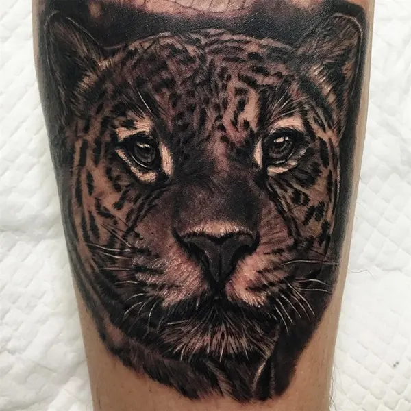 Animal, 팬서, 표범, 재규어, 치타