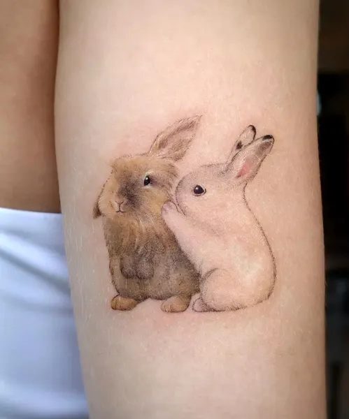 토끼, Animal