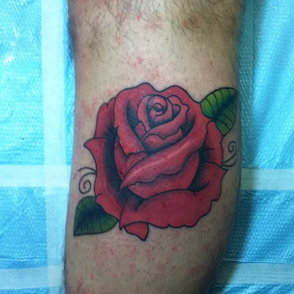 Flower, Rose