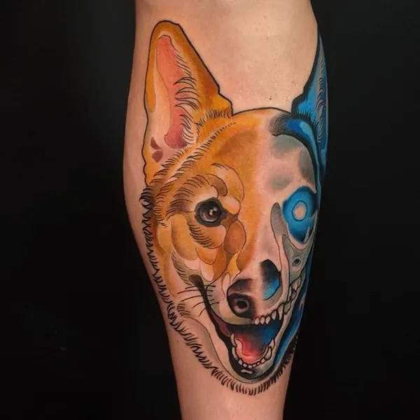Animal, 강아지