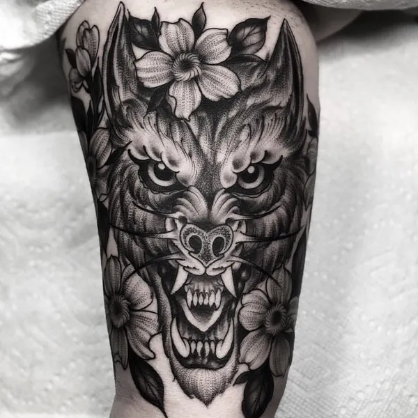Animal, Tiger
