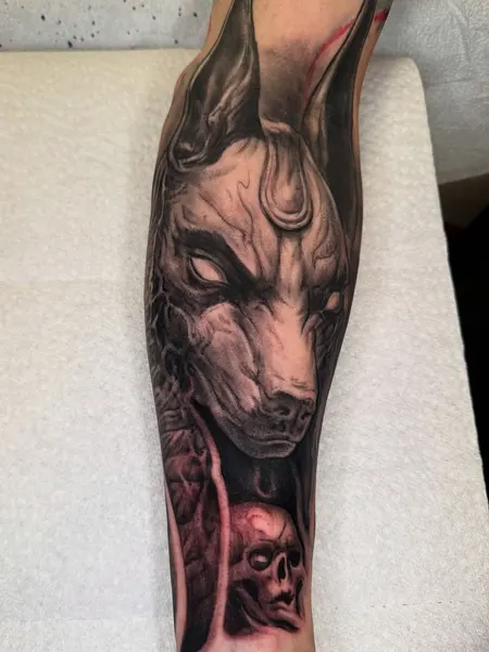 Animal, Tiger