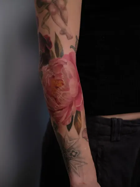 Flower, Rose